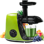 Best Juicer for Leafy Greens of 2022 - Reviews and Buying Guide