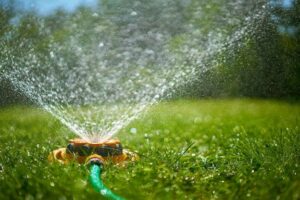 How to water lawn with hose